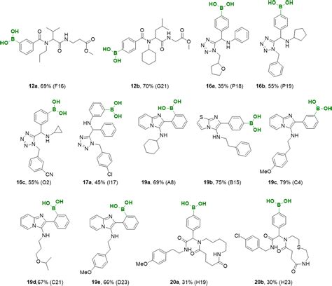 boronic|Rapid approach to complex boronic acids 